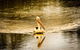 River Shack Rentals - Living The Dream - thumb 55