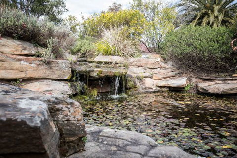 River Shack Rentals - Living The Dream - Accommodation in Brisbane 35