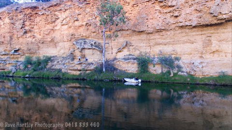 River Shack Rentals - Living The Dream - Accommodation in Brisbane 123