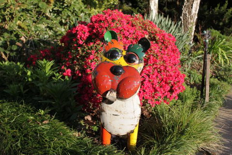 Pizzini's Vineyard Guesthouse - Accommodation in Brisbane 7