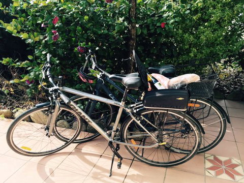 Pizzini's Vineyard Guesthouse - Accommodation in Brisbane 8