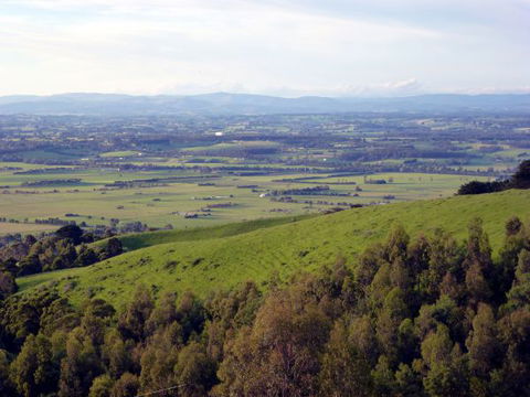 Anderley - Accommodation in Brisbane 6