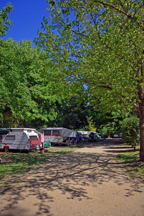 Ardern's Caravan Park, Myrtleford - Accommodation in Brisbane 1