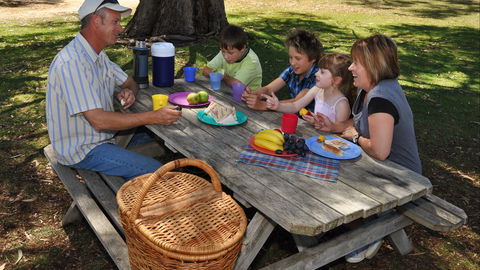 Naracoorte Caves Camping And Accomodation - Accommodation in Brisbane 3