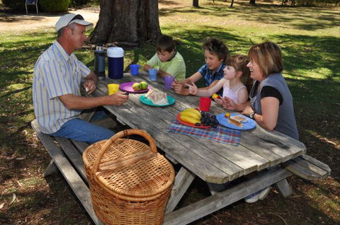 Naracoorte Caves Camping And Accomodation - Accommodation in Brisbane 0