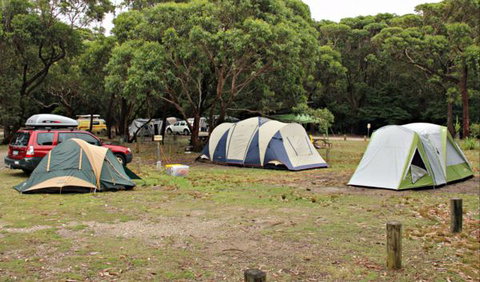 Pretty Beach Campground, Murramarang National Park - Accommodation in Brisbane 0