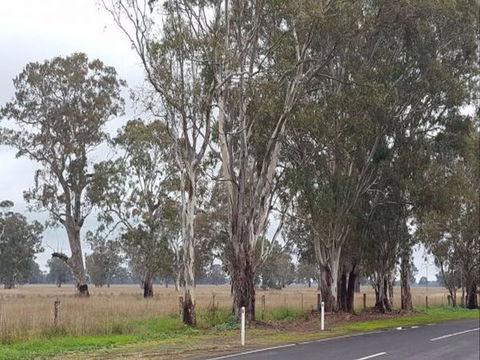 The Gums - Accommodation in Brisbane 8
