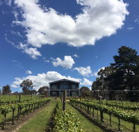 Mortimer's Accommodation amongst the Vines - Accommodation in Brisbane