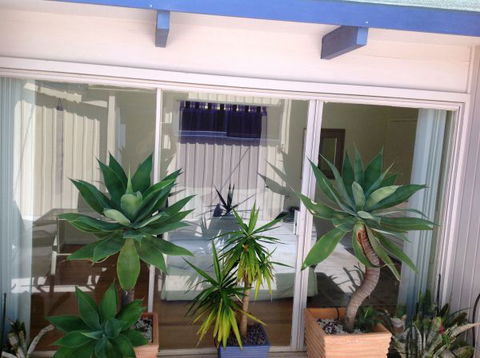 The Beach House - Accommodation in Brisbane 8