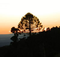 Bunya Mountains Accommodation Centre - Accommodation in Brisbane