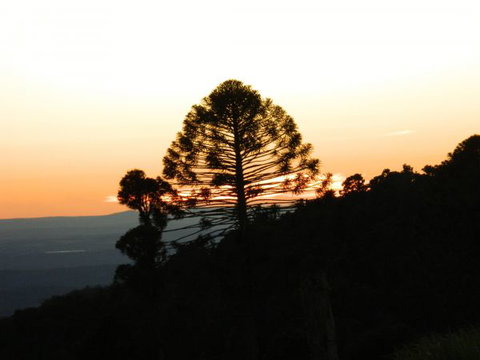 Bunya Mountains Accommodation Centre - Accommodation in Brisbane 0