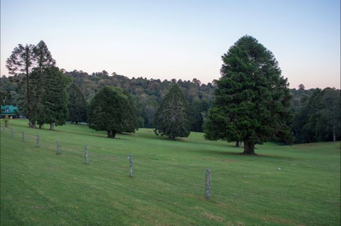 Bunya Mountains Accommodation Centre - Accommodation in Brisbane 5