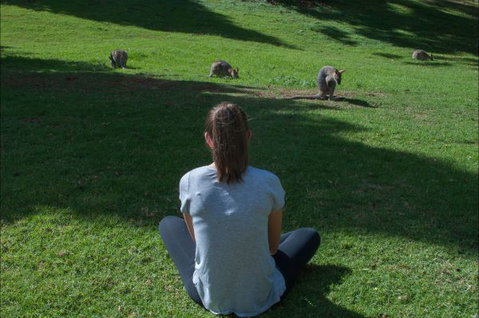 Bunya Mountains Accommodation Centre - Accommodation in Brisbane 7