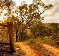Kurrajong Trails and Cottages - Accommodation in Brisbane