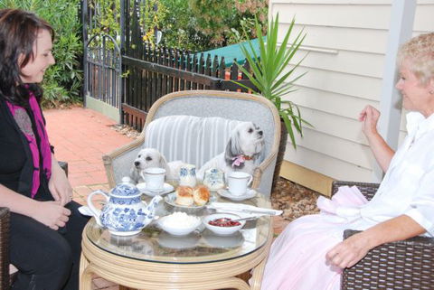 Must Love Dogs B&B And Self-Contained Cottage - Accommodation in Brisbane 2