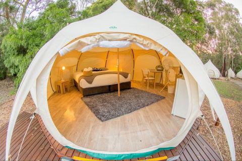 Yarra Valley Park Lane Glamping Belle Tents - Accommodation in Brisbane 8
