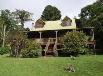 Bunya Mountains Accommodation - Accommodation in Brisbane 3