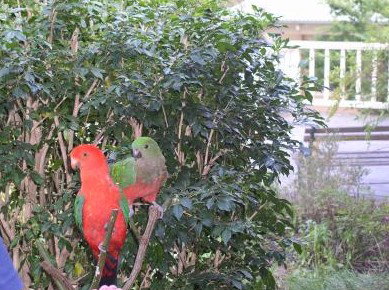 Kemeys At Mandalong - Accommodation in Brisbane 5