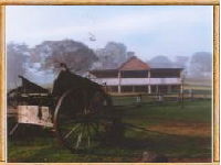 Megalong Valley Farm - Accommodation in Brisbane 0