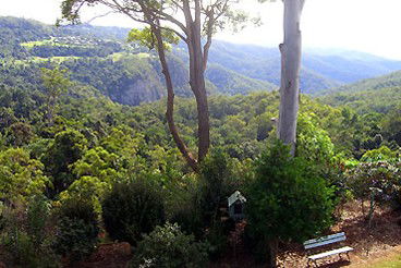 Mt Tamborine Motel - Accommodation in Brisbane 0