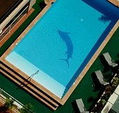 Pacific International Hotel - Accommodation in Brisbane