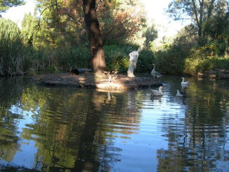 Lyndoch Hill Retreat - Accommodation in Brisbane 2