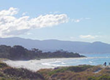 Bicheno On The Beach - Accommodation in Brisbane 5