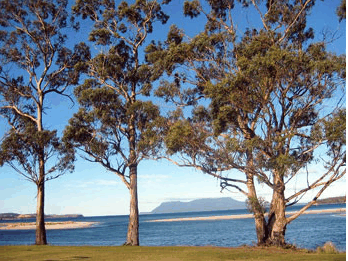 Island View Motel - Accommodation in Brisbane 3