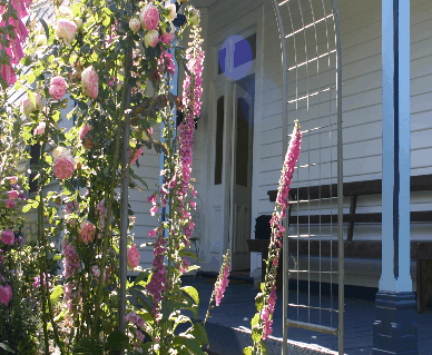 Devonport Bed And Breakfast - Accommodation in Brisbane