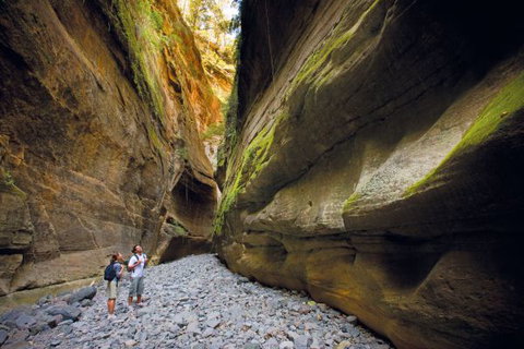 Carnarvon National Park Camping - Accommodation in Brisbane 4