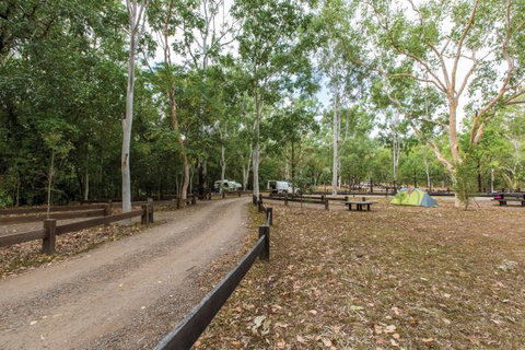 Carnarvon National Park Camping - Accommodation in Brisbane 1
