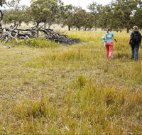 Carnarvon National Park camping - Accommodation in Brisbane