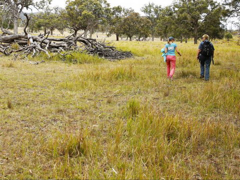 Carnarvon National Park Camping - Accommodation in Brisbane 0