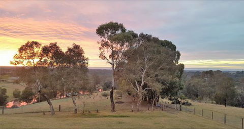 Blueberry Hills On Comleroy - Accommodation in Brisbane 9