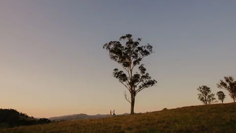 Faulls Ridge Winery - Accommodation in Brisbane 0