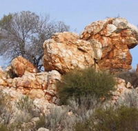 Credo Homestead Camp at Credo Conservation Park - Accommodation in Brisbane