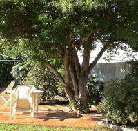 Bev's Retreat Bed and Breakfast - Accommodation in Brisbane