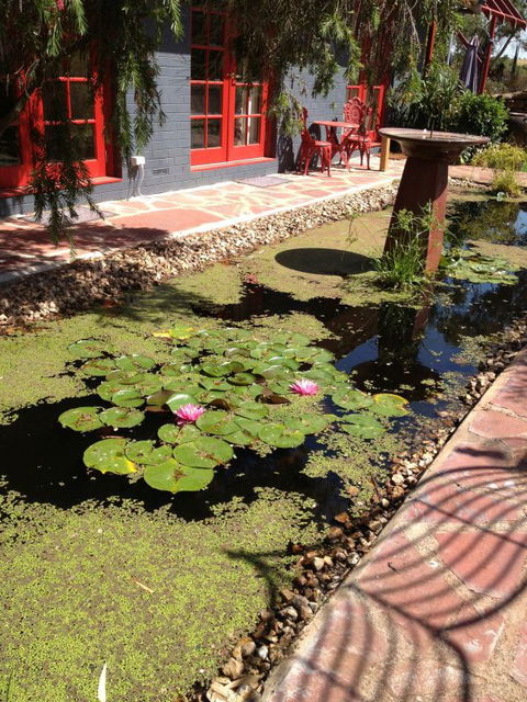 Artrocks Artist Retreat & Accommodation - Accommodation in Brisbane 0