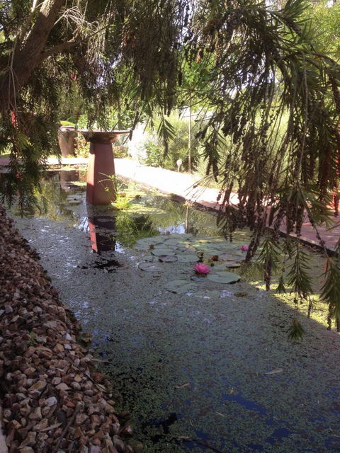 Artrocks Artist Retreat & Accommodation - Accommodation in Brisbane 1