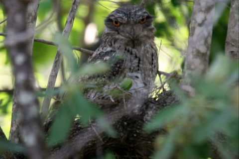 Bush Oasis Caravan Park - Accommodation in Brisbane 7