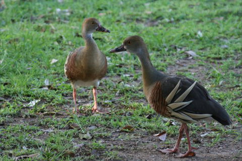 Bush Oasis Caravan Park - Accommodation in Brisbane 8