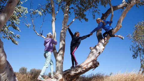 Hamilton Downs Youth Camp - Accommodation in Brisbane 4