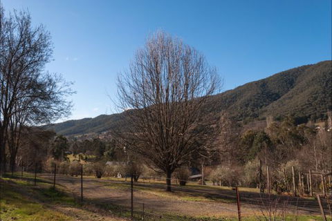 House On Higgs Lane - Accommodation in Brisbane 9