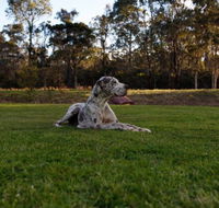 Hunter Valley Retreat - Accommodation in Brisbane