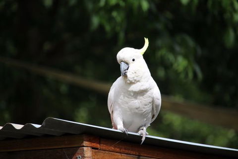 Jamieson Caravan Park - Accommodation in Brisbane 2