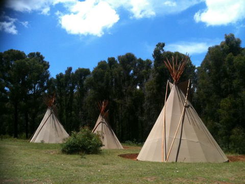 Kinglake Forest Adventures Camp - Accommodation in Brisbane 0