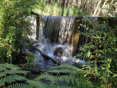 Kinglake Forest Adventures Camp - Accommodation in Brisbane 1