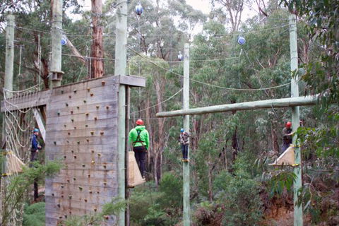Kinglake Forest Adventures Camp - Accommodation in Brisbane 2