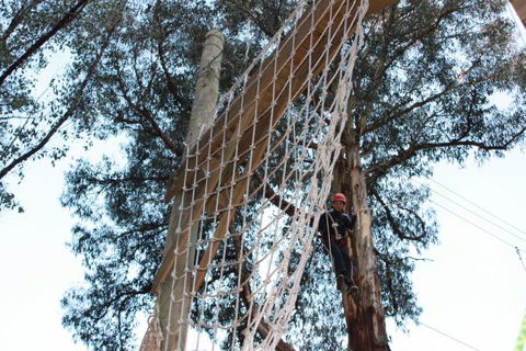 Kinglake Forest Adventures Camp - Accommodation in Brisbane 4