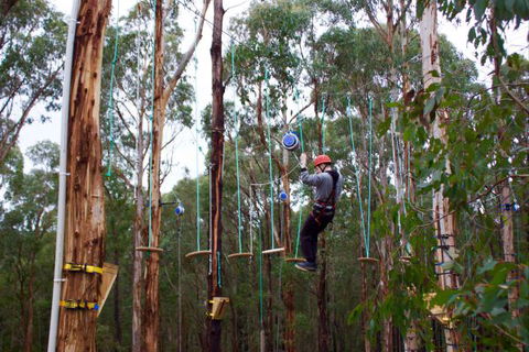 Kinglake Forest Adventures Camp - Accommodation in Brisbane 5